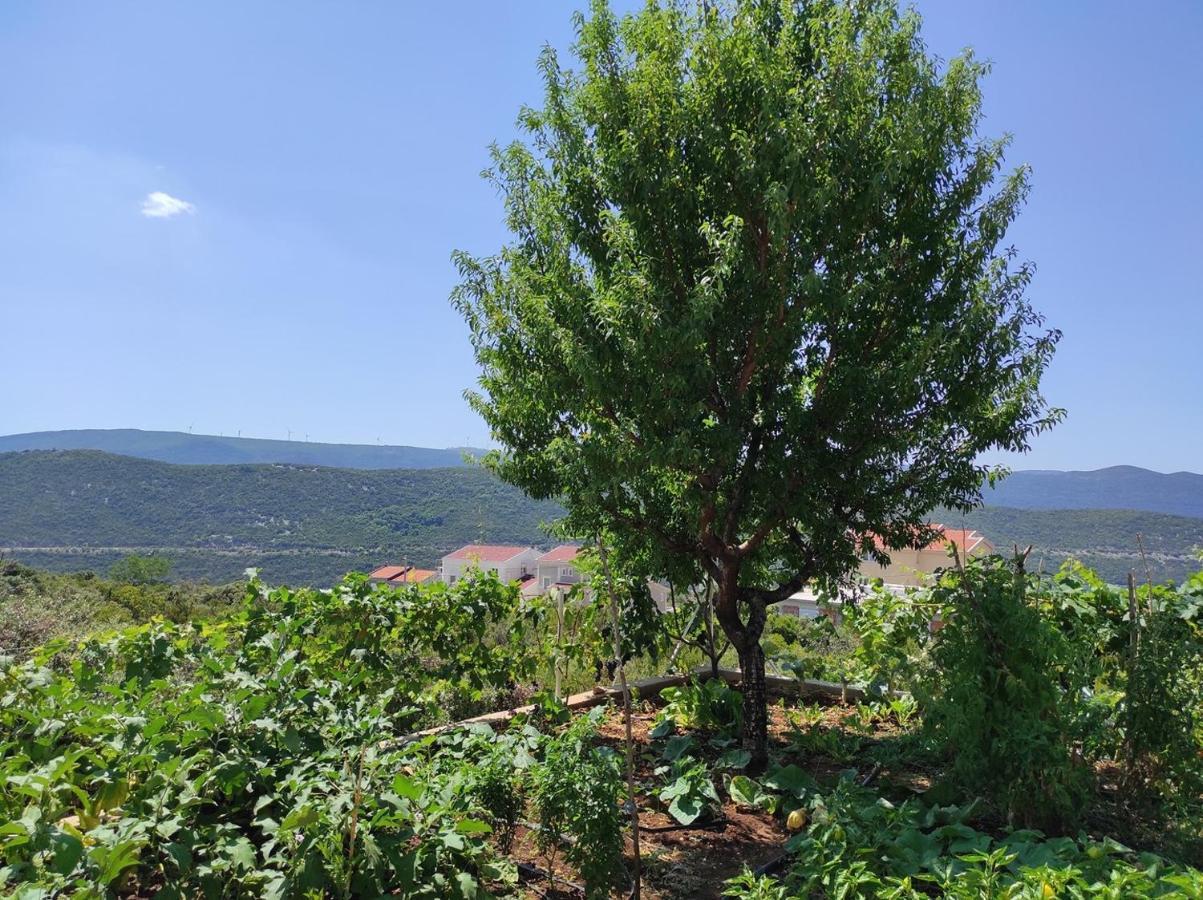 One Bedroom Apartment Gogo With Private Parking Неум Экстерьер фото