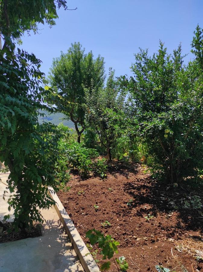 One Bedroom Apartment Gogo With Private Parking Неум Экстерьер фото